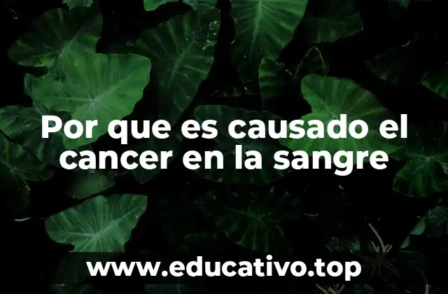 Por que es causado el cancer en la sangre