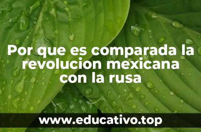 Las raíces sociales y económicas de ambos movimientos