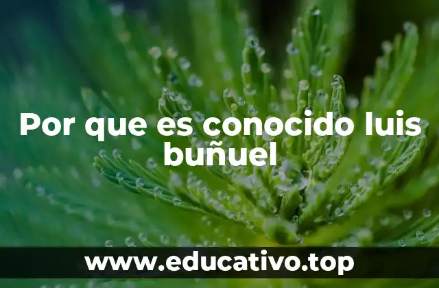 Por que es conocido luis buñuel