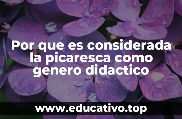 Por que es considerada la picaresca como genero didactico