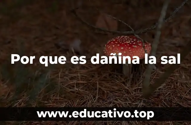 Por que es dañina la sal