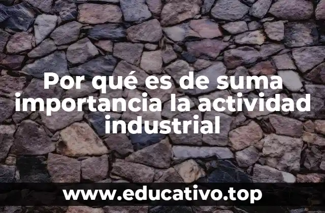 Por qué es de suma importancia la actividad industrial