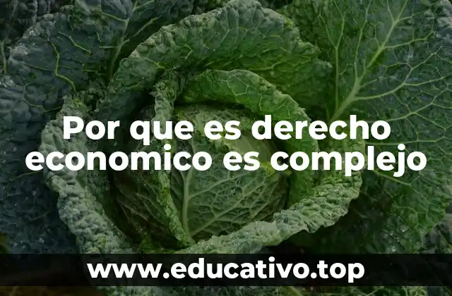 Por que es derecho economico es complejo