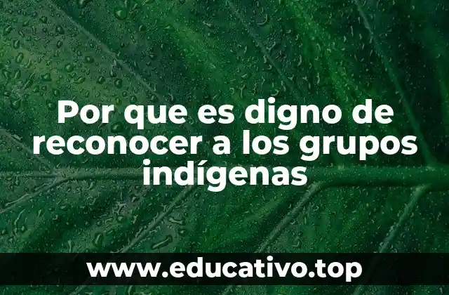 Por que es digno de reconocer a los grupos indígenas