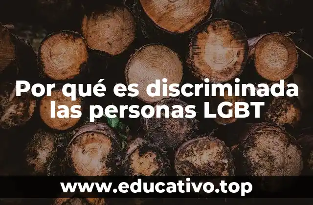 Por qué es discriminada las personas LGBT