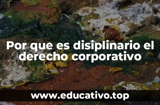 Por que es disiplinario el derecho corporativo