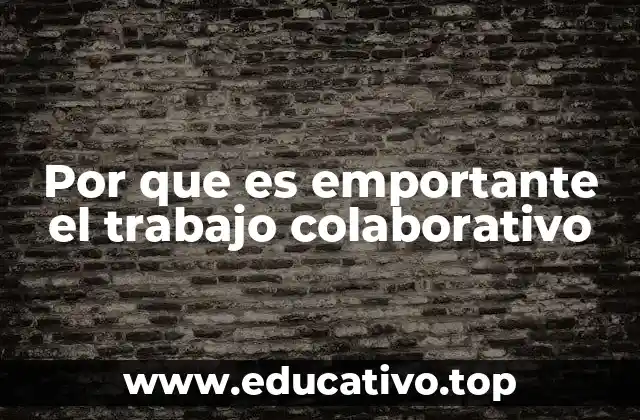 Por que es emportante el trabajo colaborativo