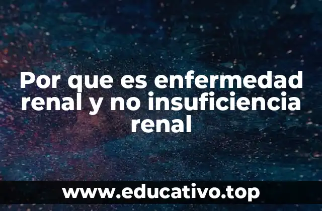 Por que es enfermedad renal y no insuficiencia renal