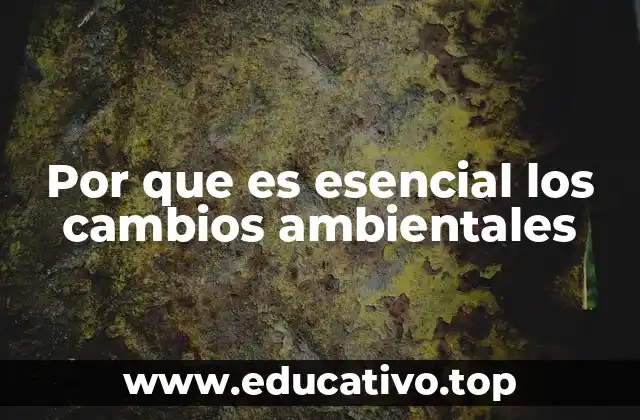 Por que es esencial los cambios ambientales