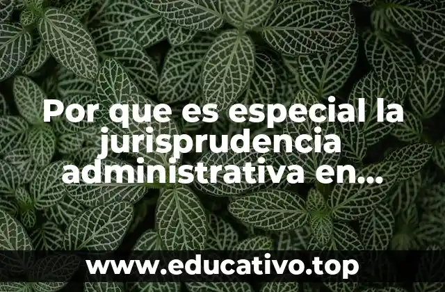 Por que es especial la jurisprudencia administrativa en mexico
