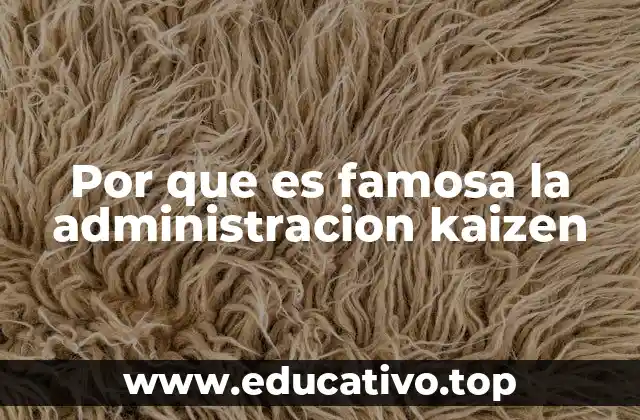 Por que es famosa la administracion kaizen