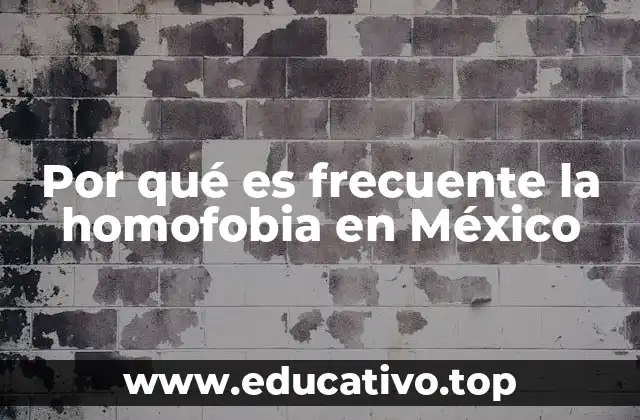 Por qué es frecuente la homofobia en México