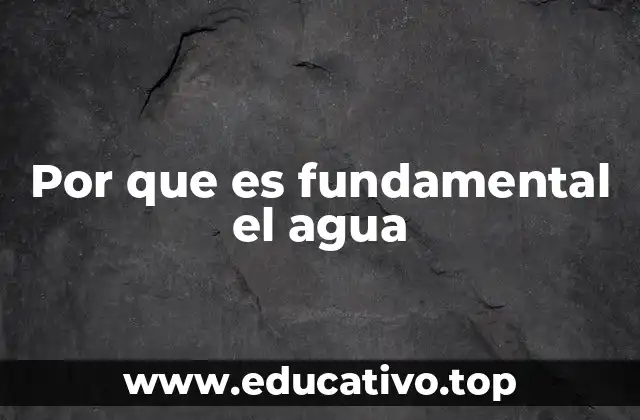 La importancia del agua en la naturaleza y en la sociedad