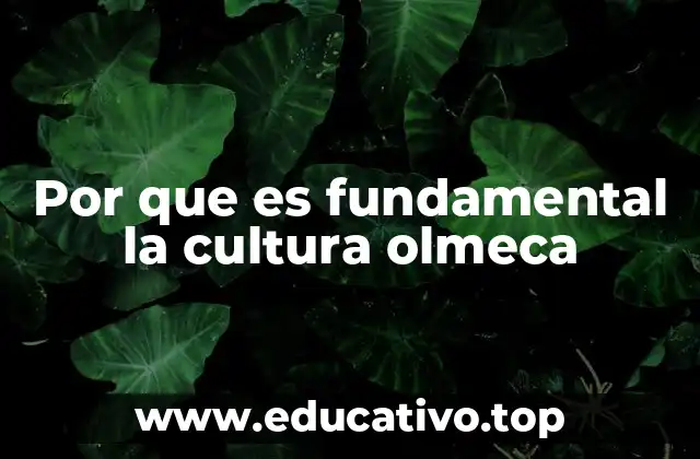 Por que es fundamental la cultura olmeca