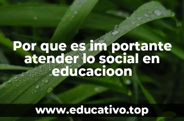 Por que es im portante atender lo social en educacioon
