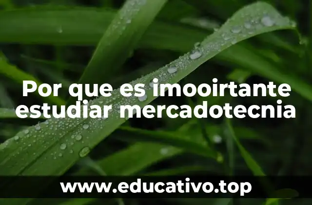 Por que es imooirtante estudiar mercadotecnia