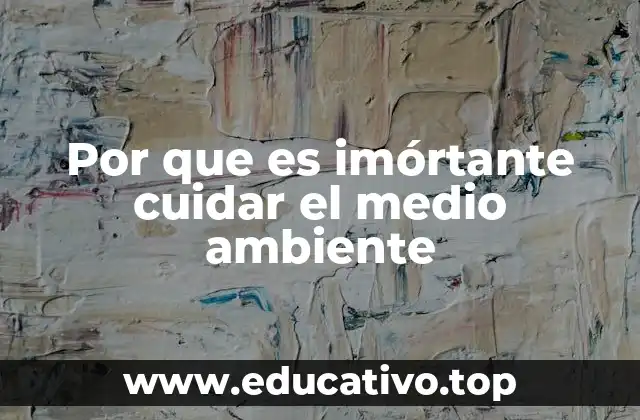 Por que es imórtante cuidar el medio ambiente