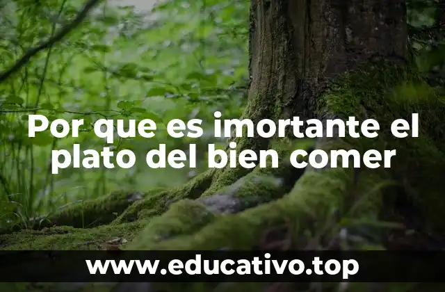 Por que es imortante el plato del bien comer