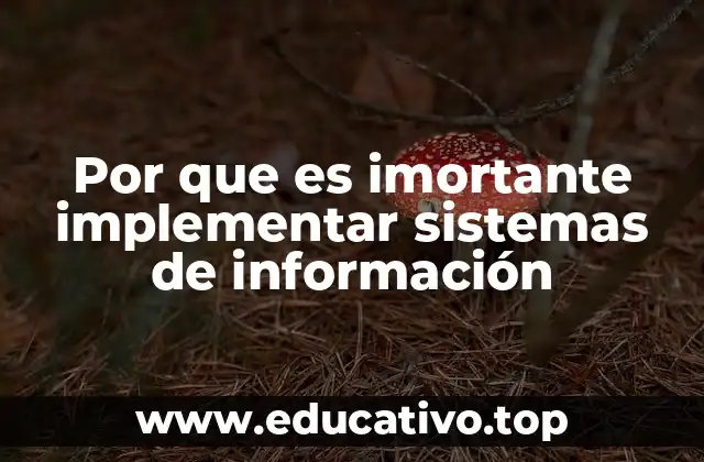Por que es imortante implementar sistemas de información