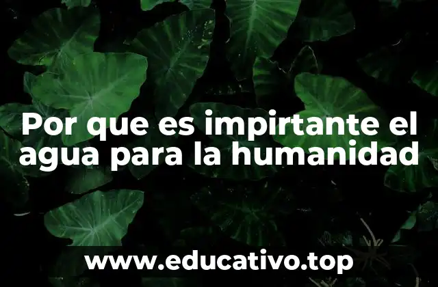 Por que es impirtante el agua para la humanidad
