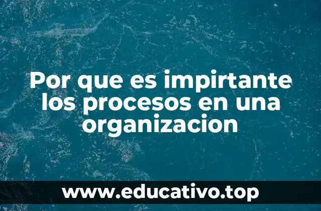 Por que es impirtante los procesos en una organizacion
