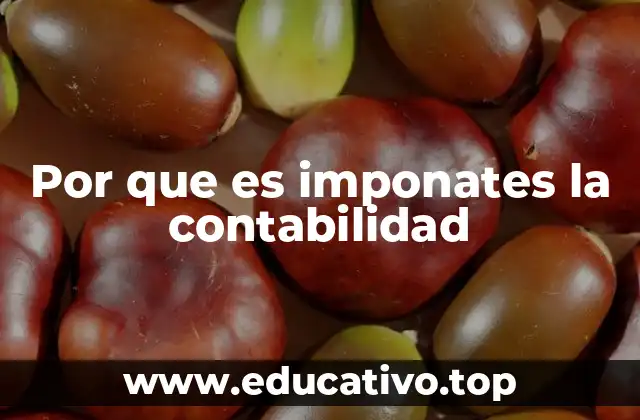 Por que es imponates la contabilidad