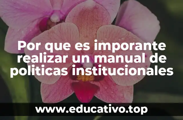 Por que es imporante realizar un manual de politicas institucionales