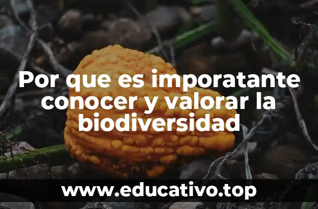 Por que es imporatante conocer y valorar la biodiversidad