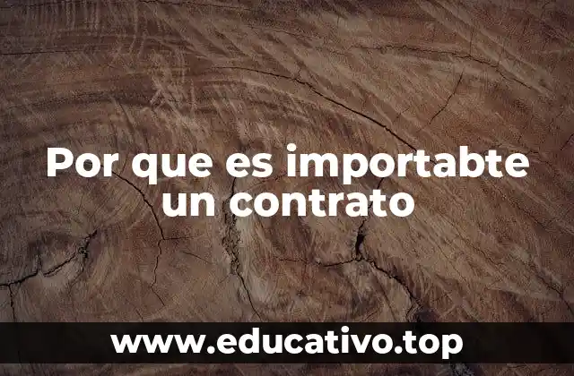 Por que es importabte un contrato
