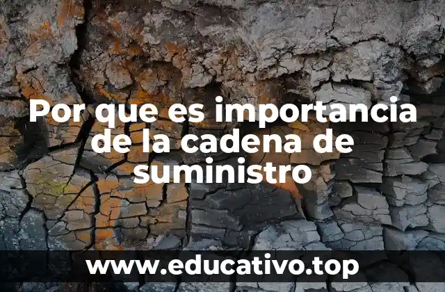 Por que es importancia de la cadena de suministro