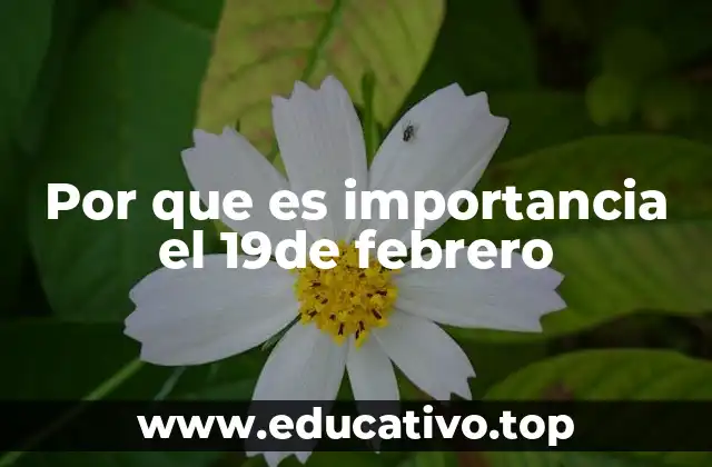 Por que es importancia el 19de febrero