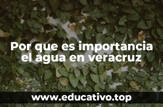 Por que es importancia el agua en veracruz