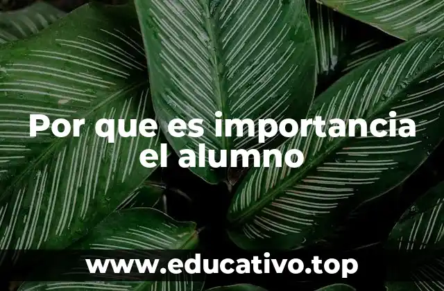 Por que es importancia el alumno