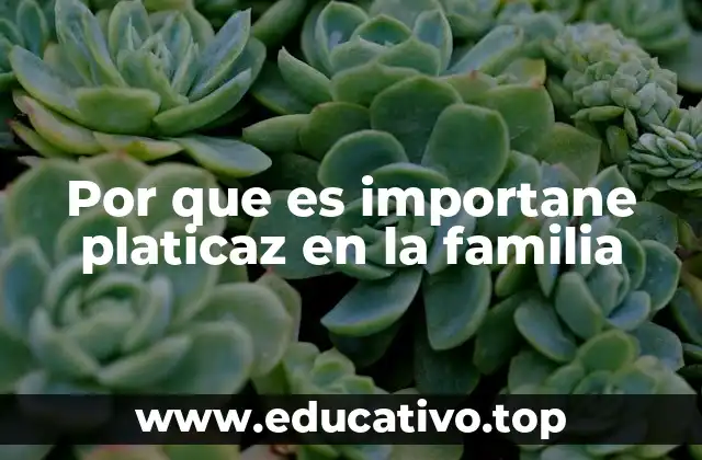 Por que es importane platicaz en la familia