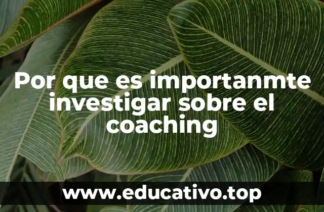 Por que es importanmte investigar sobre el coaching