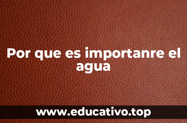 Por que es importanre el agua