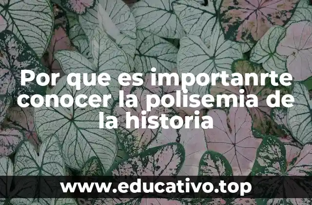 Por que es importanrte conocer la polisemia de la historia