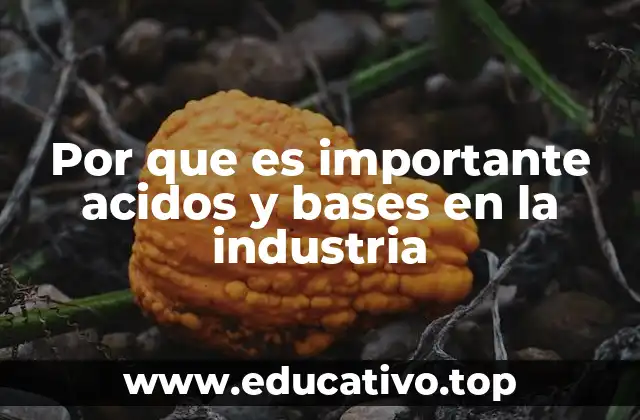 Por que es importante acidos y bases en la industria