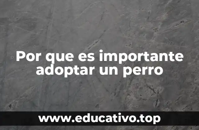 Por que es importante adoptar un perro