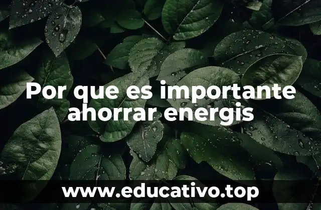 Por que es importante ahorrar energis