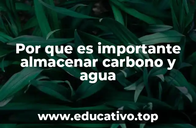 Por que es importante almacenar carbono y agua