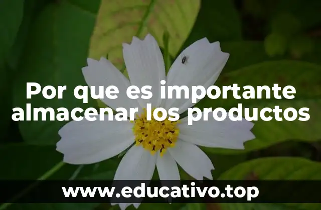 Por que es importante almacenar los productos