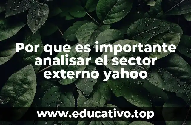 Por que es importante analisar el sector externo yahoo