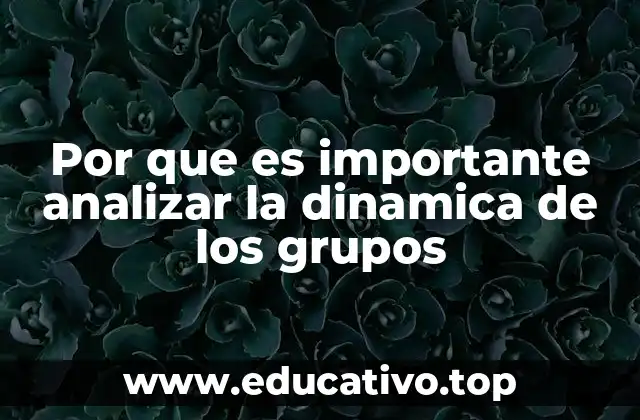 La importancia de observar cómo interactúan los individuos en un colectivo