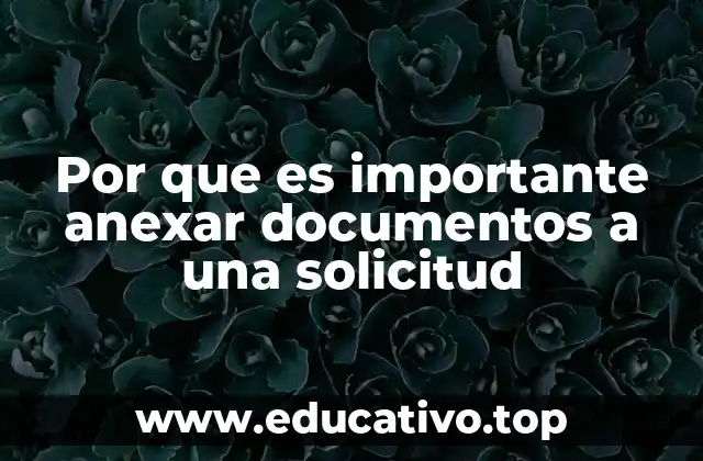 Por que es importante anexar documentos a una solicitud