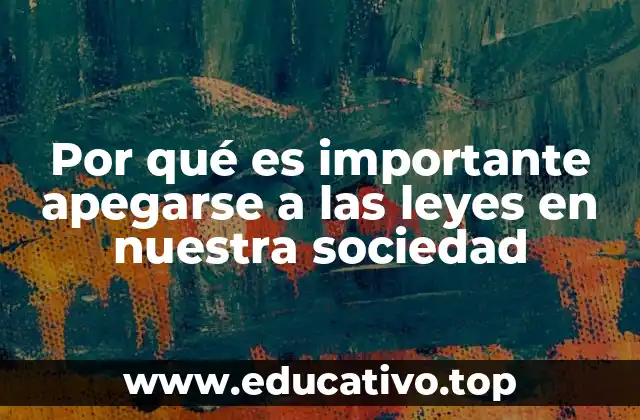 Por qué es importante apegarse a las leyes en nuestra sociedad