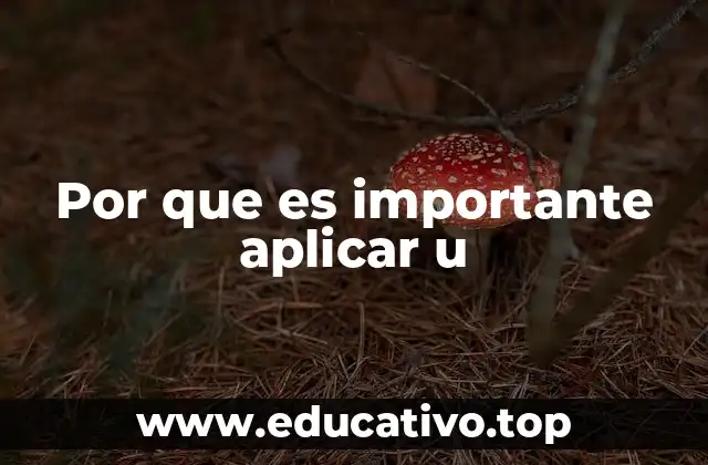 Por que es importante aplicar u