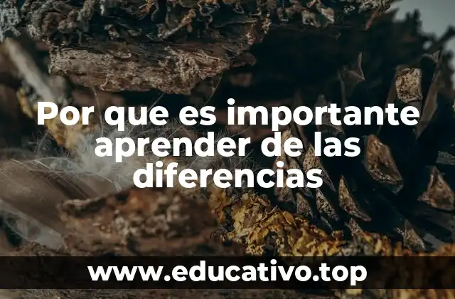 Por que es importante aprender de las diferencias