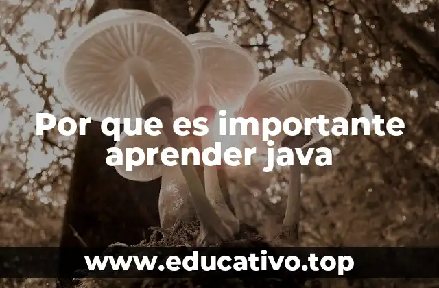 Por que es importante aprender java