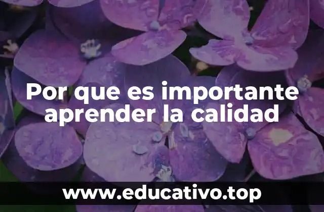 Por que es importante aprender la calidad